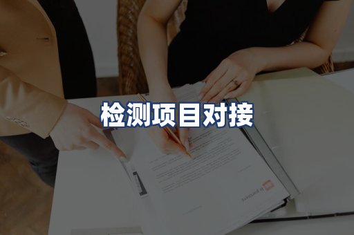 检测项目对接